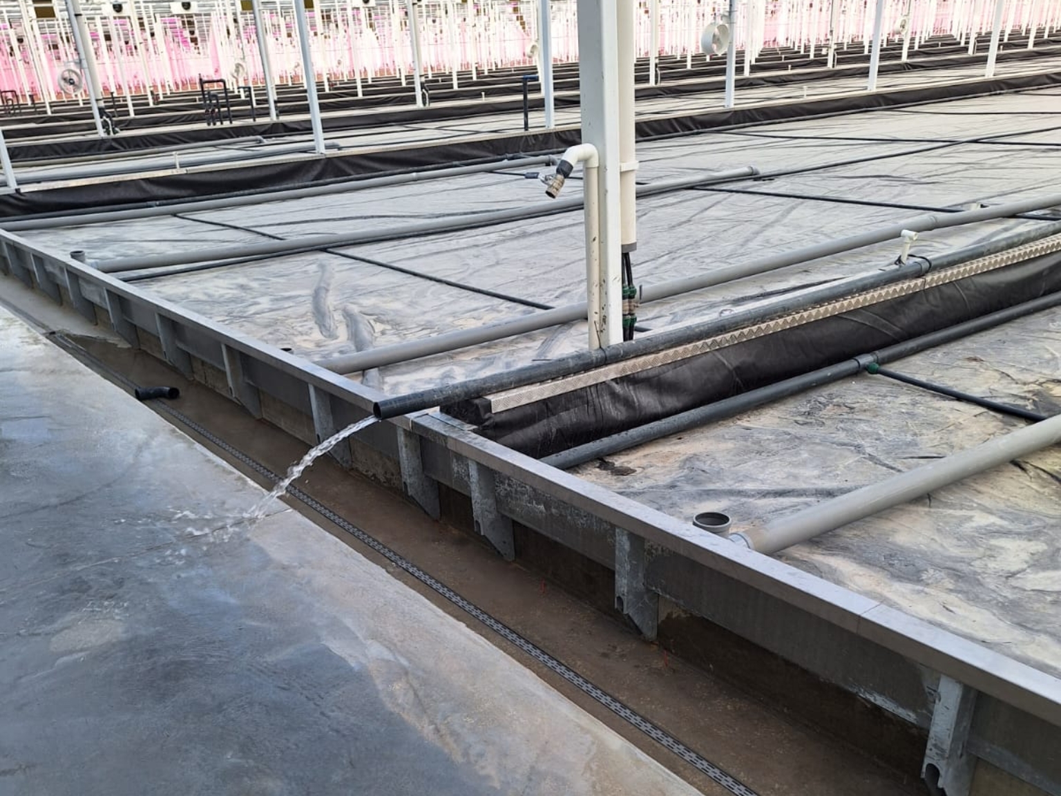 Hydroponics zonder water