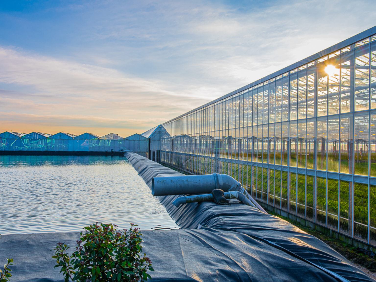 Corner of a water reservoir next to a greenhouse