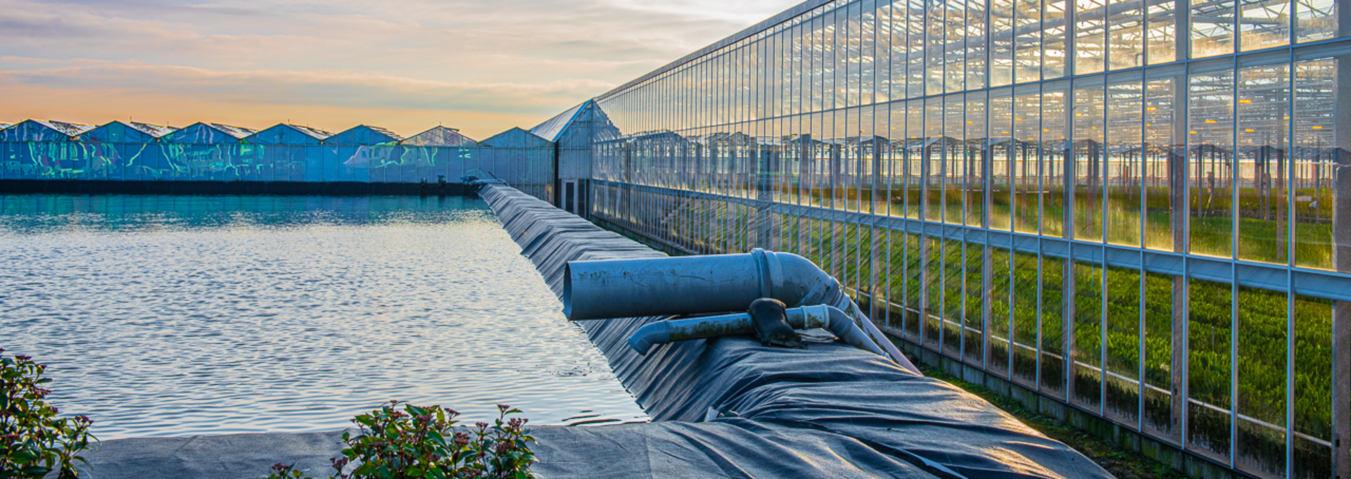 Corner of a water reservoir next to a greenhouse