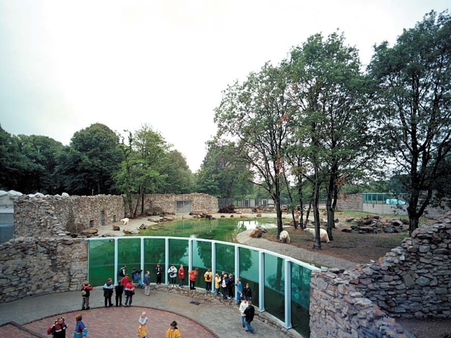 Bear pond in Wildlands Zoo in Emmen