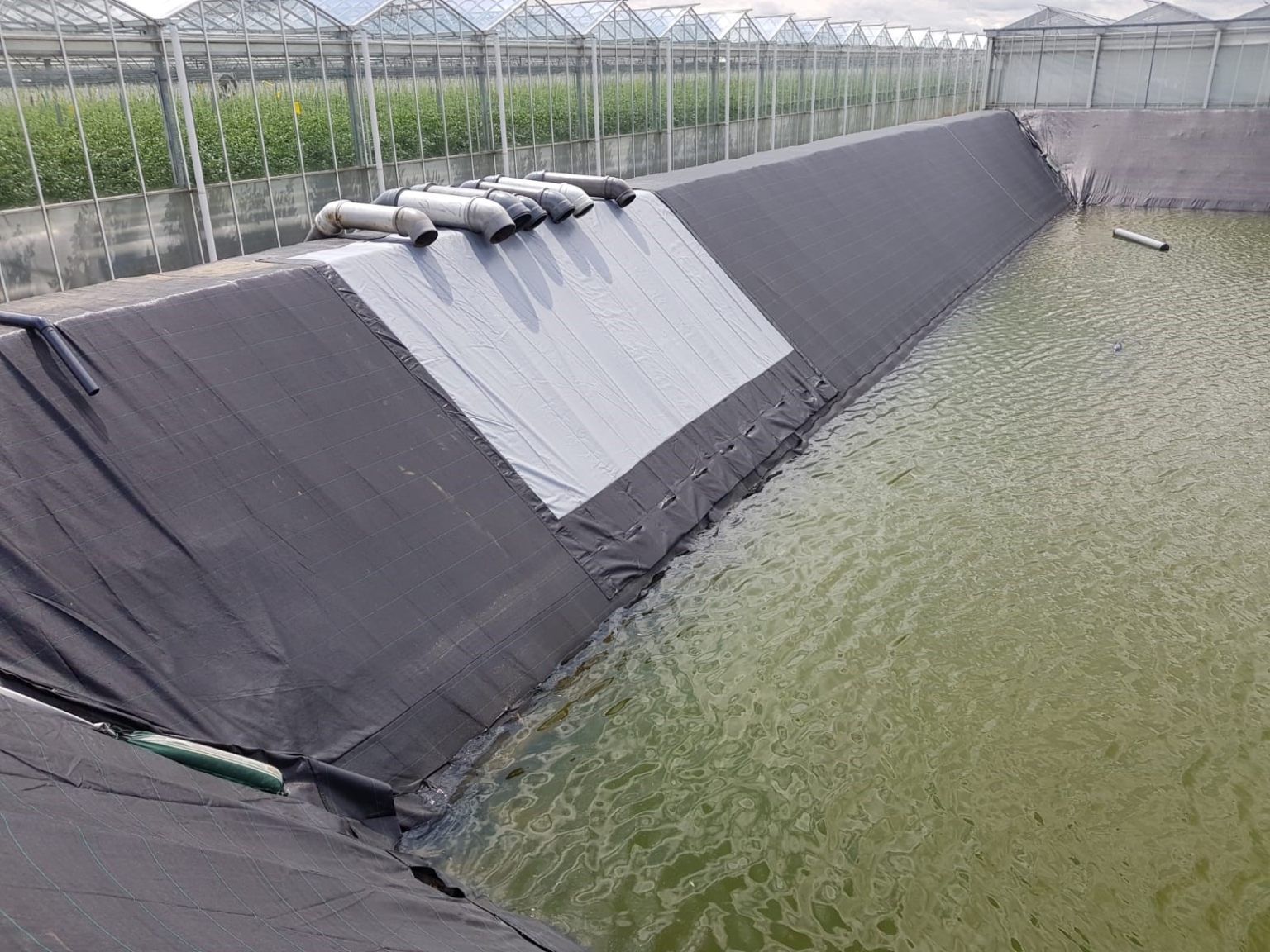 Einlassvorrichtung in einem Wasserbecken