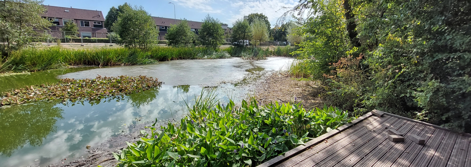 Pond in Ermelo