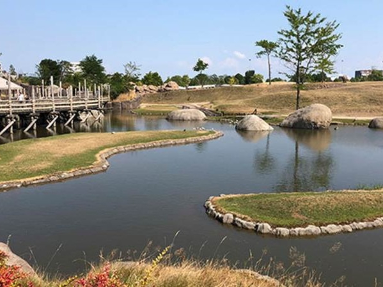 Pond in Wildlands Zoo in Emmen