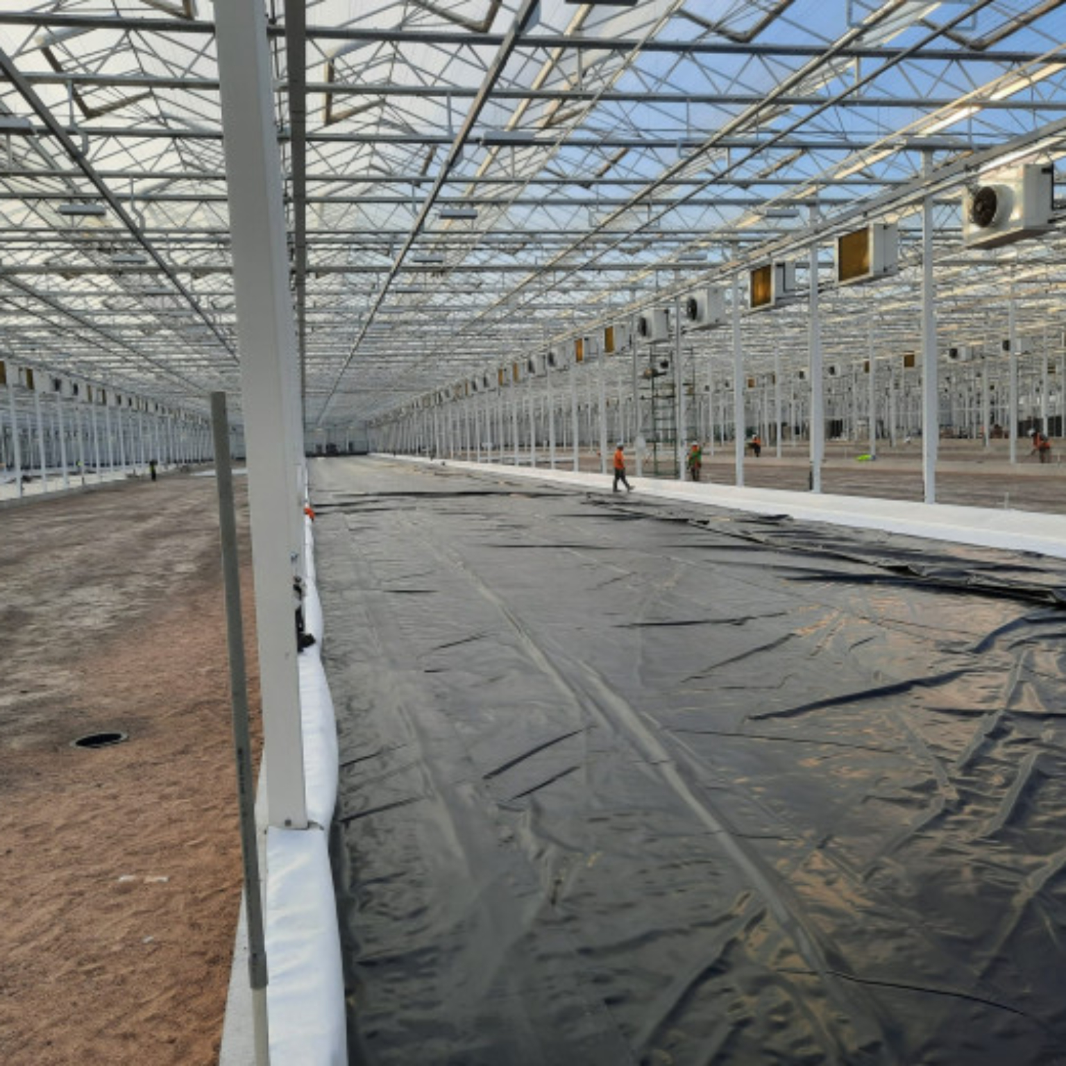 Hydroponics Ponds in a large greenhouse