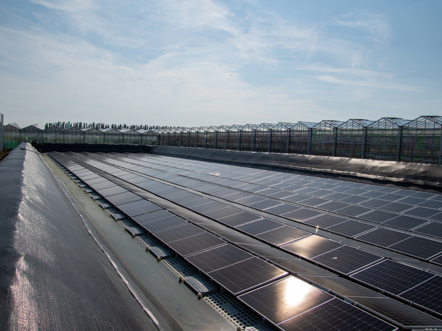 Sun reflecting on floating solar panels at growers greenhouse