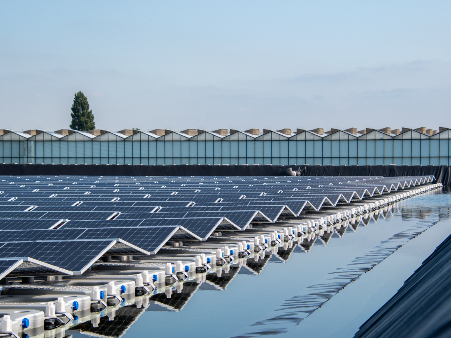 Floating solar panels in water reservoir with greenhouses in background