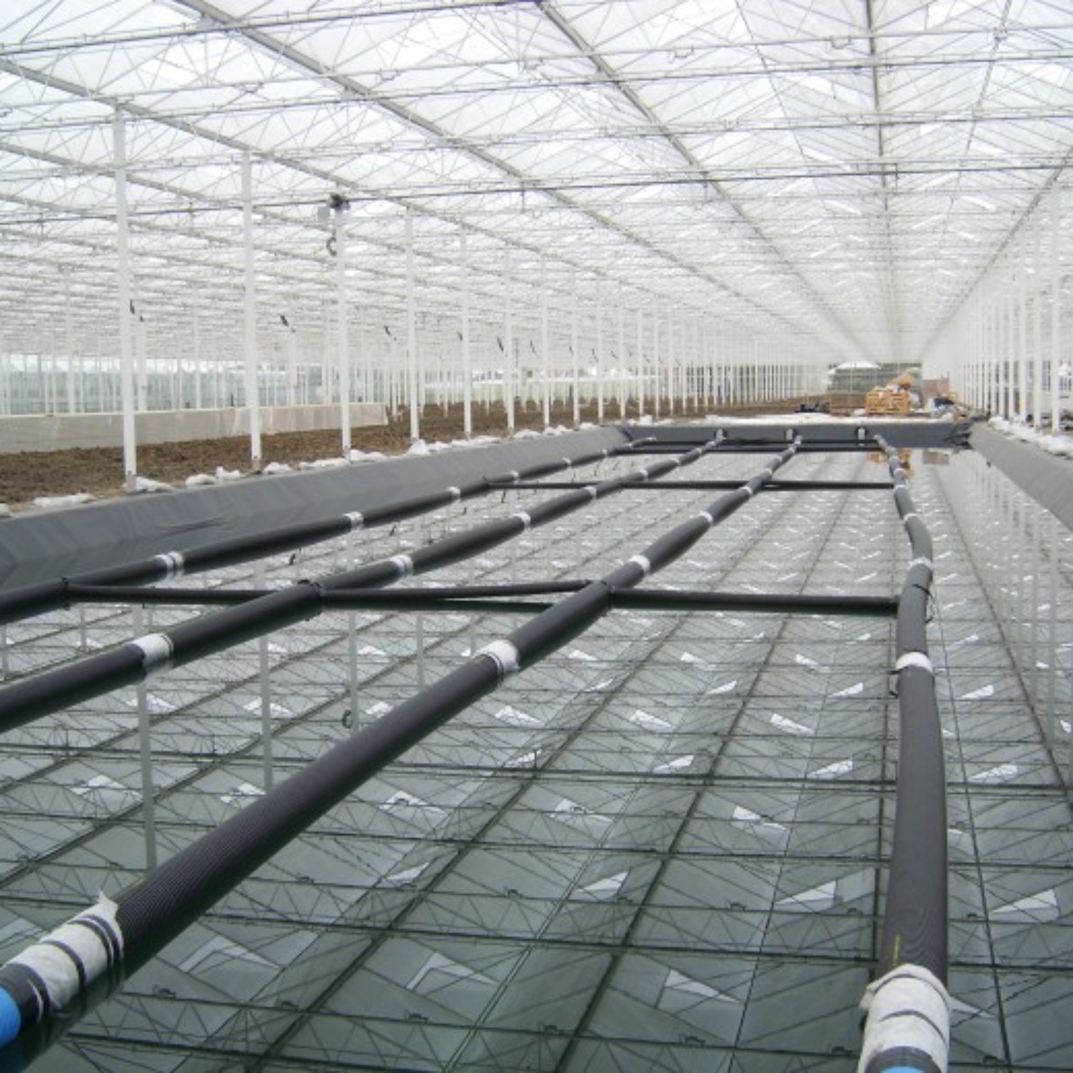 Filled water reservoir in greenhouse