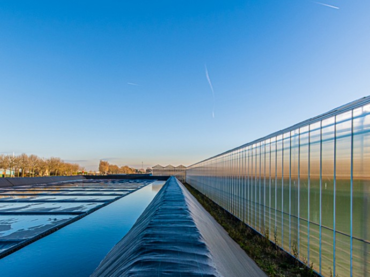 Water reservoir with anti-algae cover