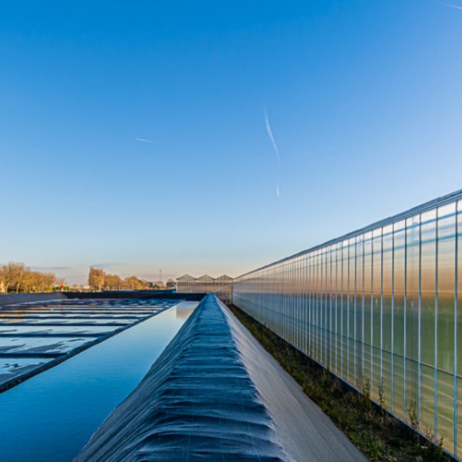 Water reservoir with anti-algae cover