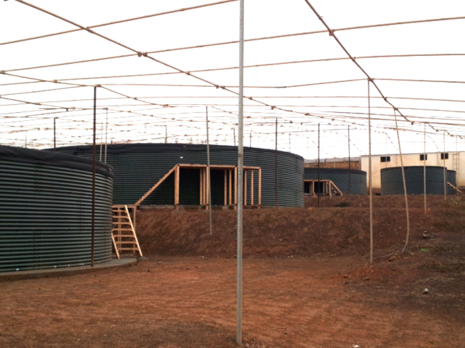 Water tanks at shrimp farm