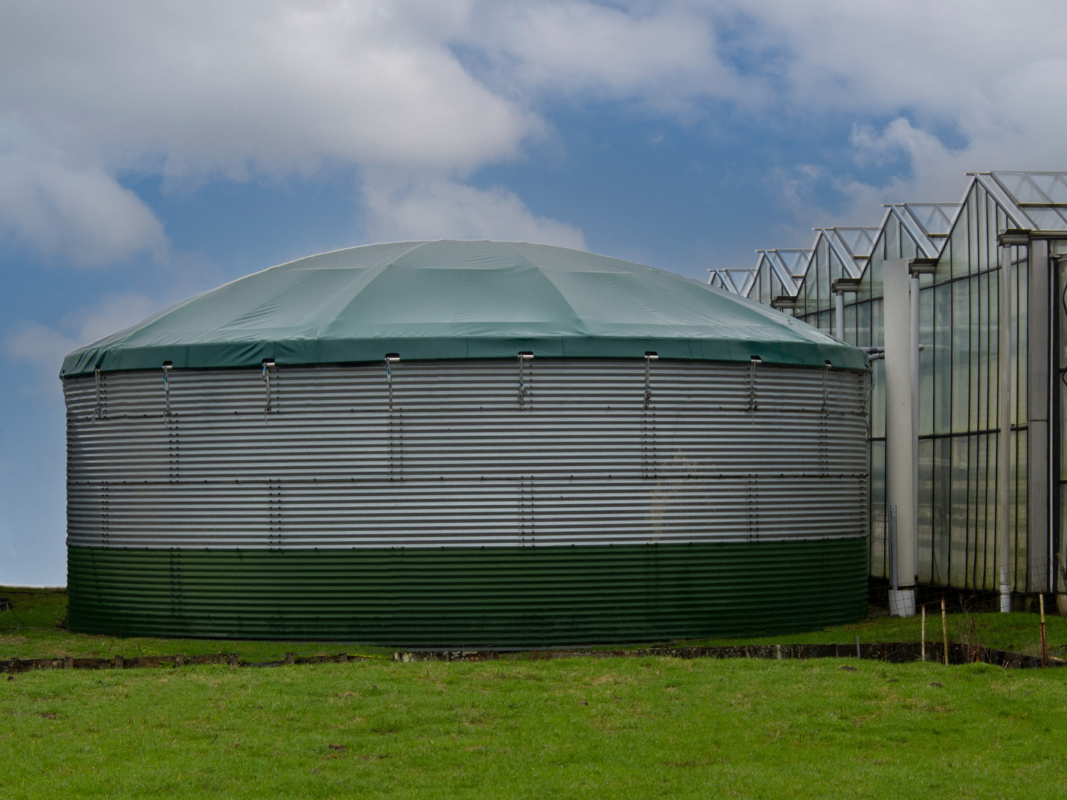 Groene GenaDome voor kas