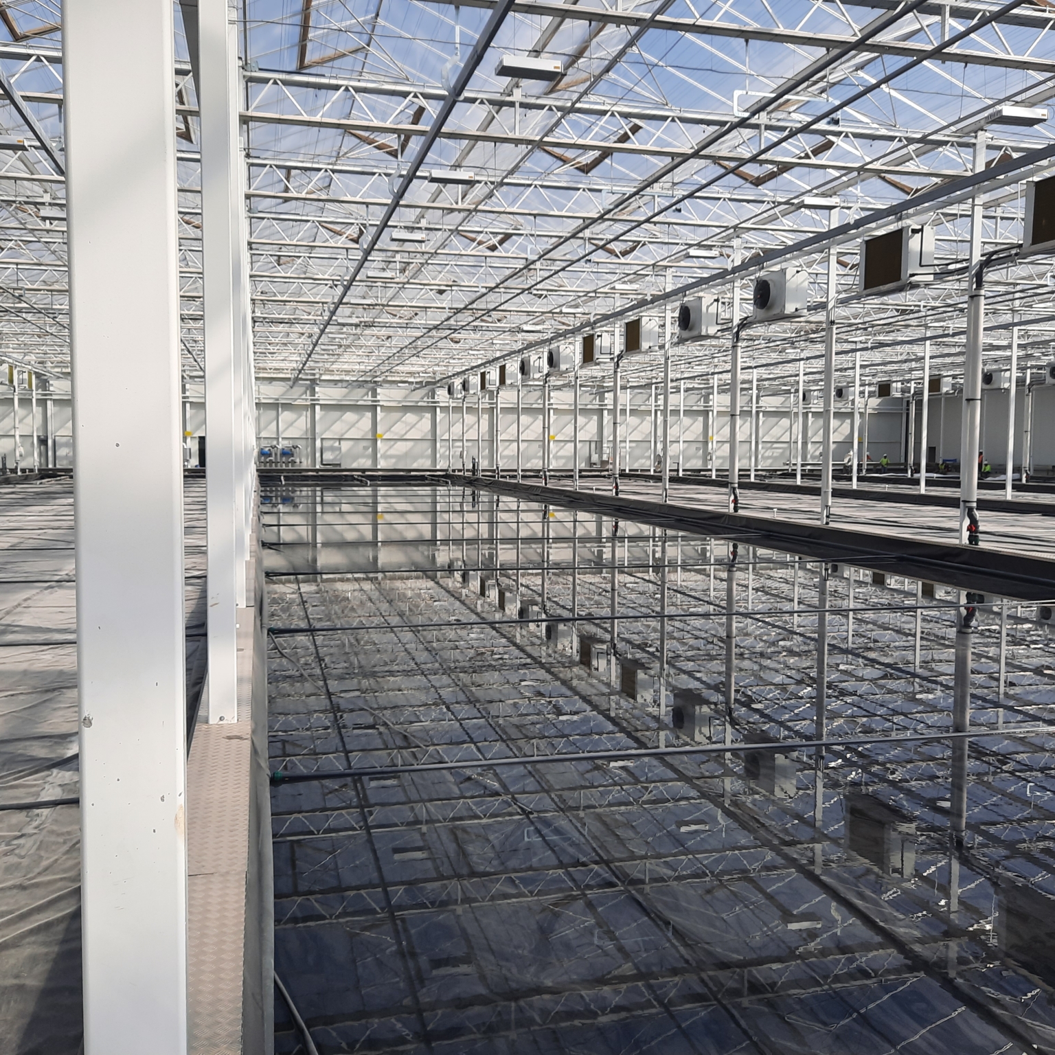 Hydroponics pond filled with water