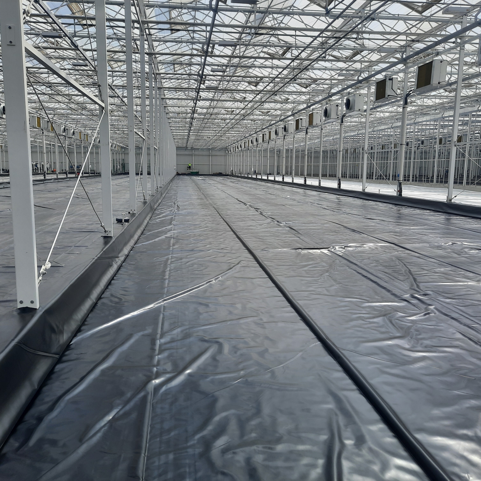 Folies voor Hydroponics vijver