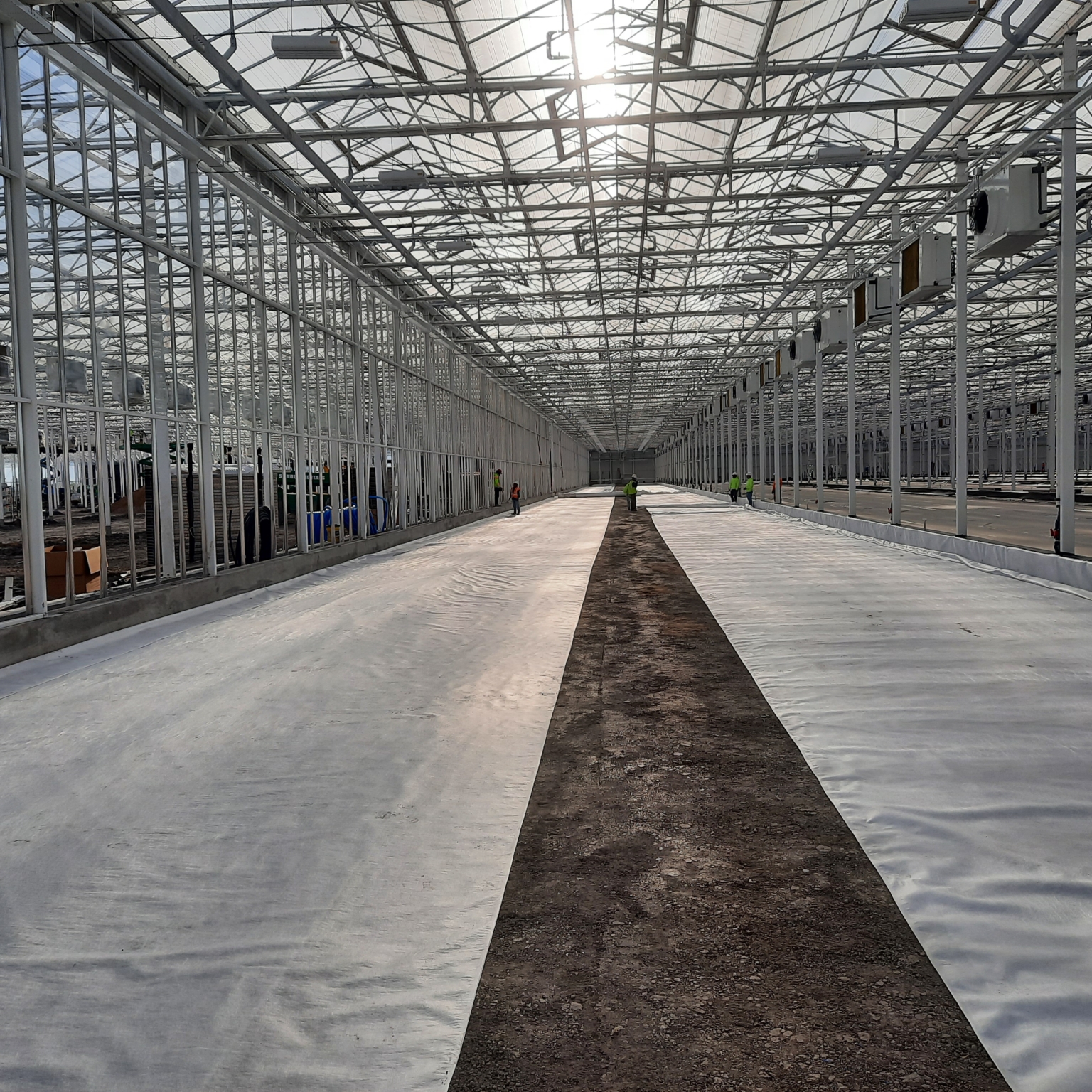 Hydroponics Ponds in a large greenhouse