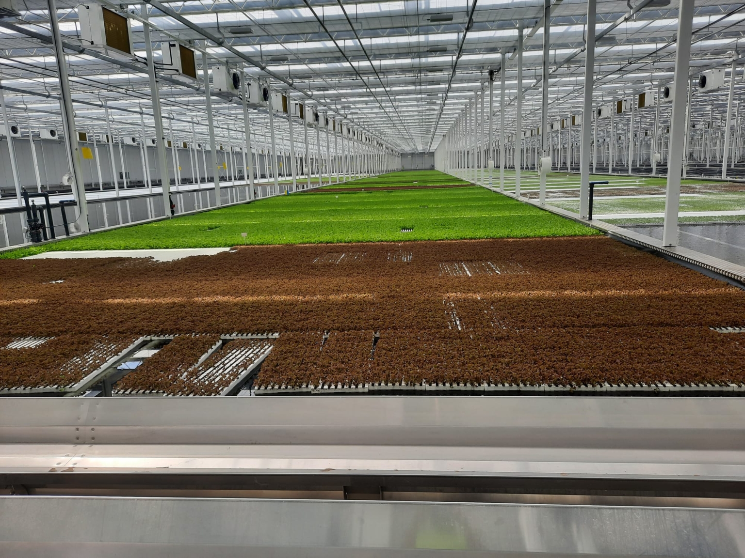 Volledig voltooide Hydroponics vijver