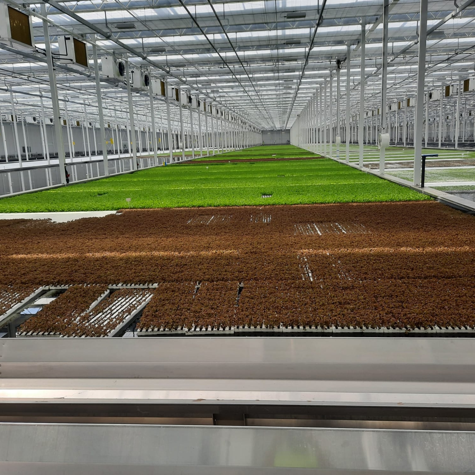 Vollständig abgeschlossener Hydroponics-Teich